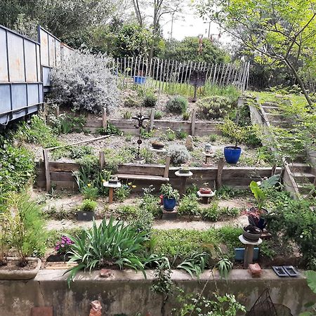 Villa Le 16 à Toulouse Extérieur photo
