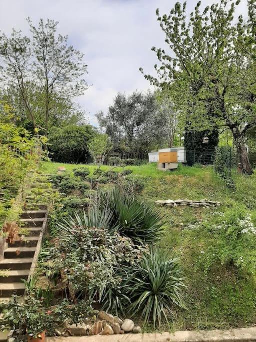 Villa Le 16 à Toulouse Extérieur photo